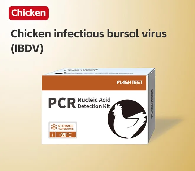 chicken infectious bursal virus ibdv