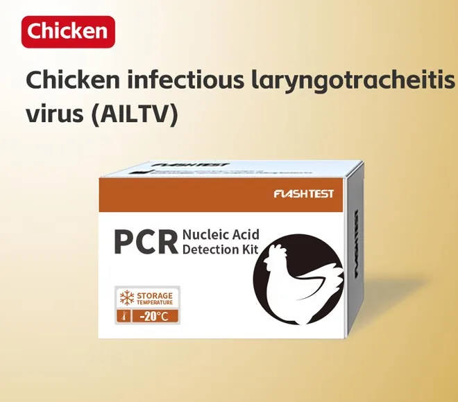chicken infectious laryngotracheitis virus ailtv