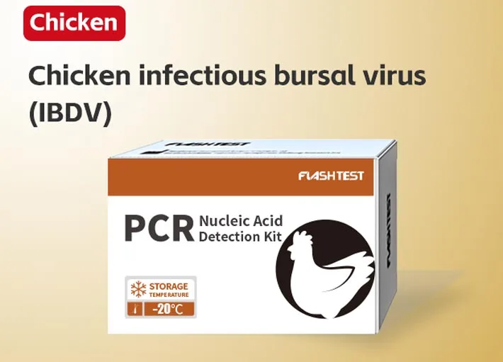 Chicken Infectious Bursal Virus (IBDV)