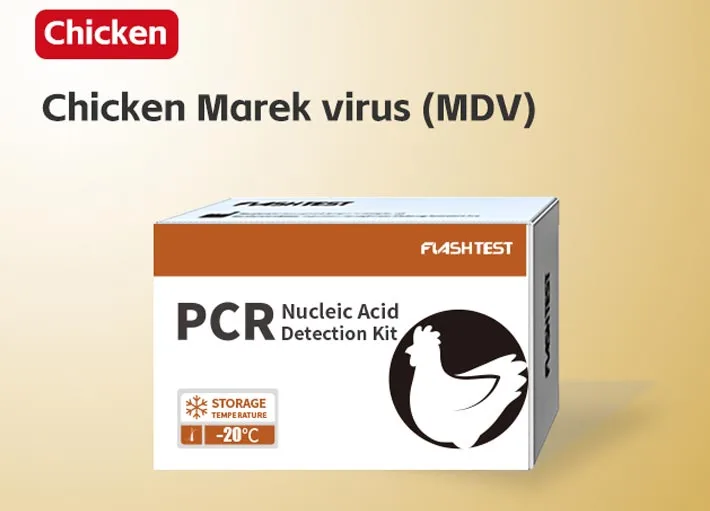 Chicken Marek Virus (MDV)