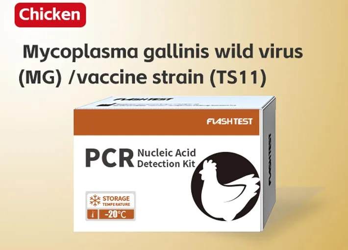 Mycoplasma Gallinis Wild Virus (MG)/Vaccine Strain (TS11)