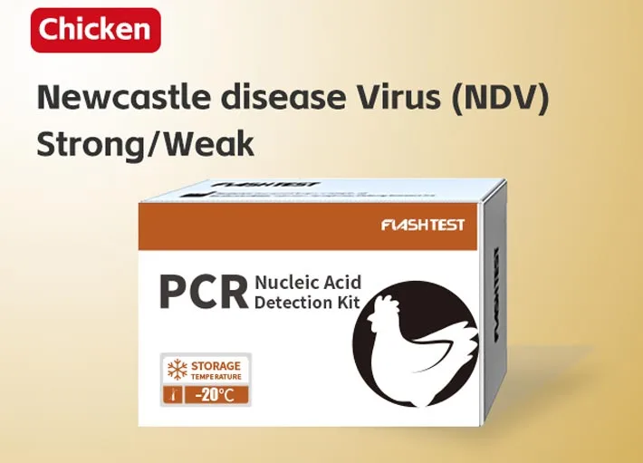Newcastle Disease Virus (NDV) Strong/Weak