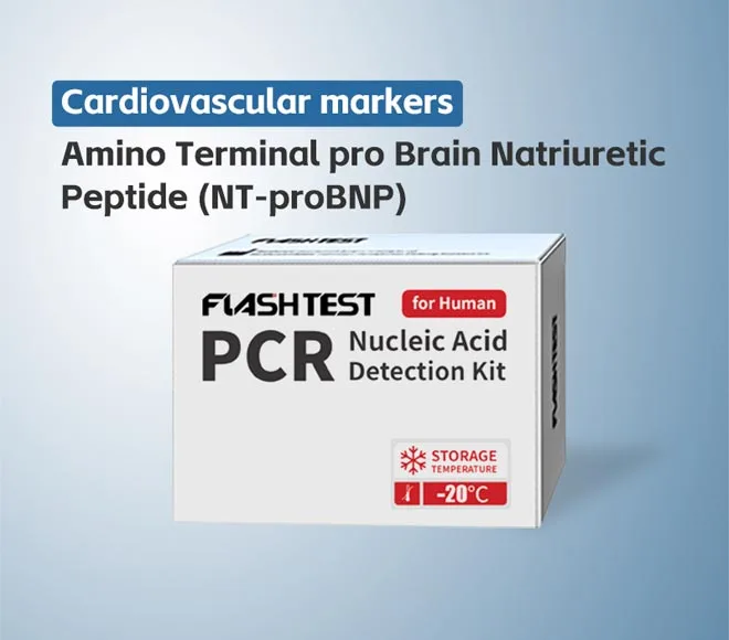amino terminal pro brain natriuretic peptide nt probnp
