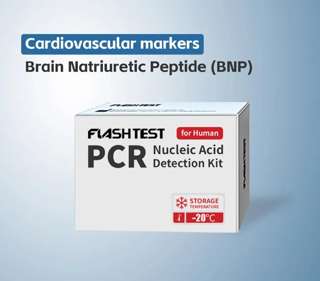 brain natriuretic peptide bnp