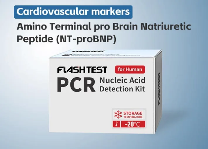 Amino Terminal Pro Brain Natriuretic Peptide (NT-proBNP)