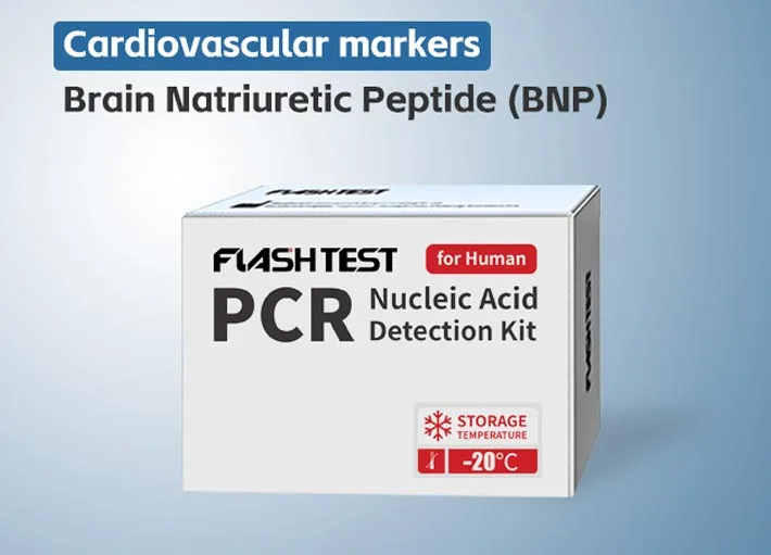 Brain Natriuretic Peptide (BNP)