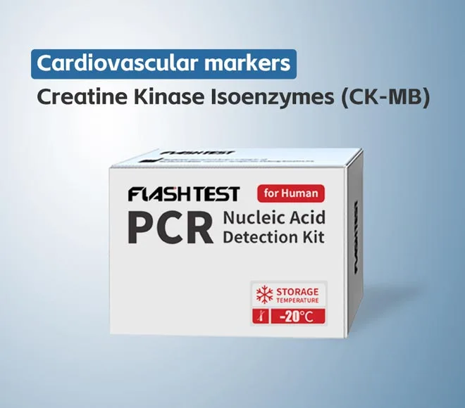 creatine kinase isoenzymes ck mb