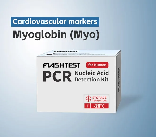 myoglobin myo