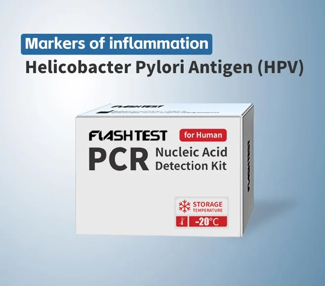 helicobacter pylori antigen hpv
