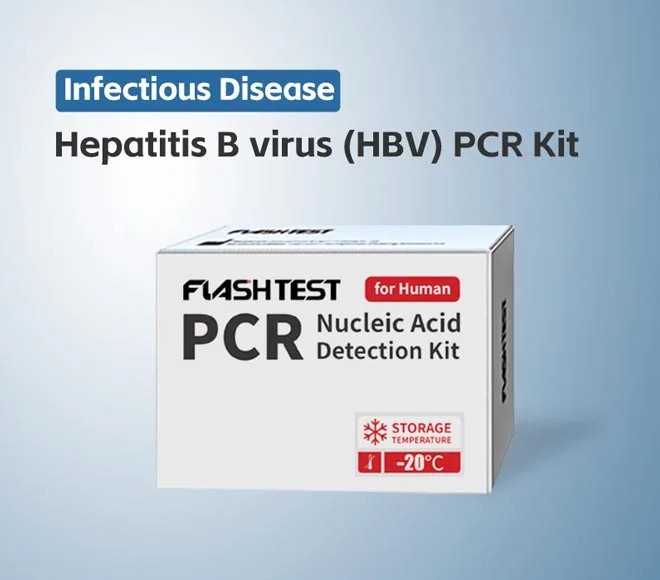 hepatitis b virus hbv pcr kit